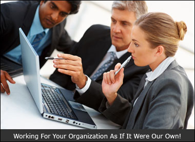 AceNet IT consulting Services